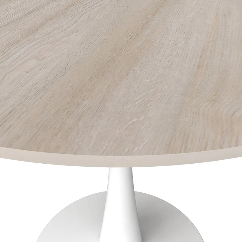 Bristol 31 Modern Round Dining Table with Sintered Stone Top & White Stainless Steel Pedestal Base for Dining Room and Kitchen